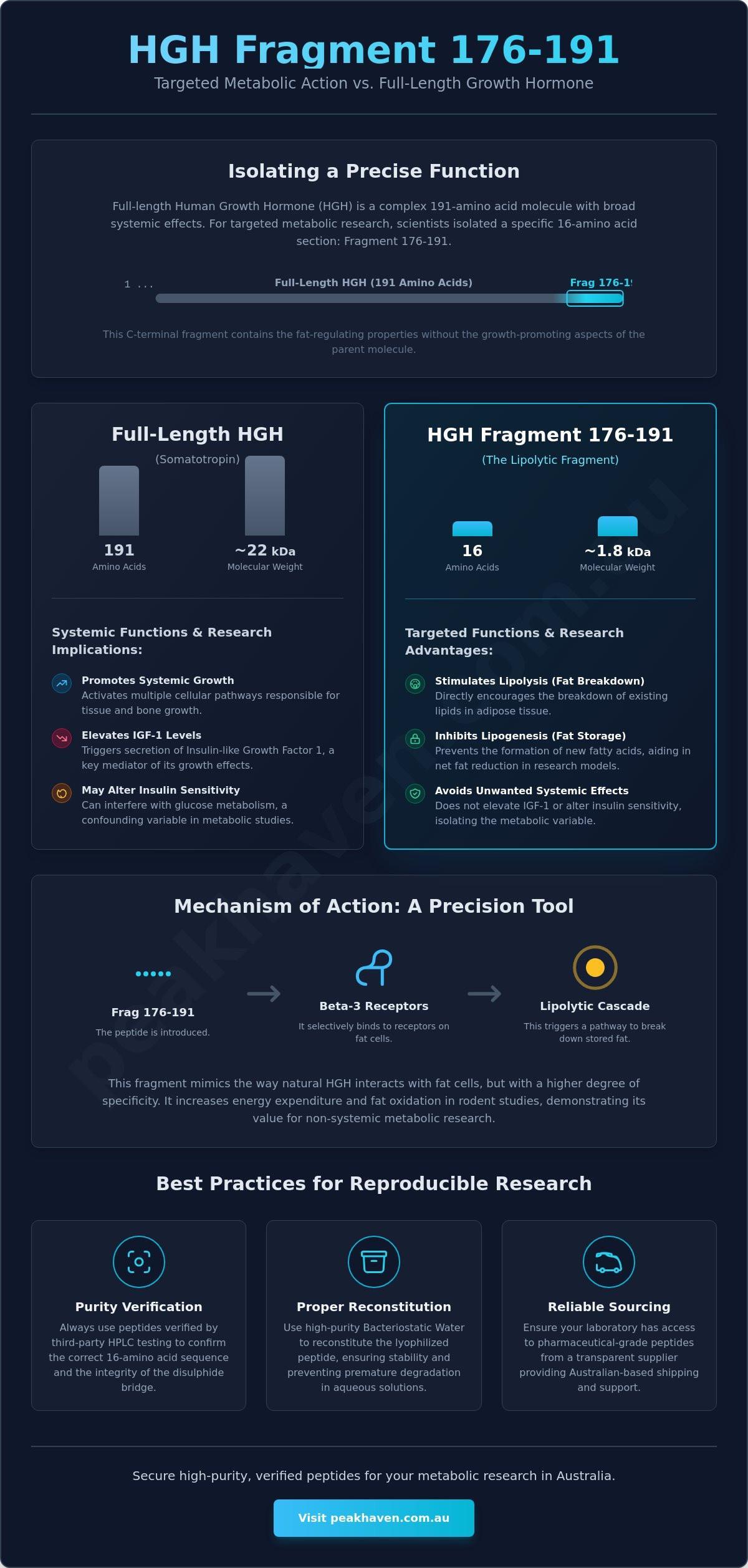 Frag 176-191 Peptide Function: A 2026 Research Laboratory Guide